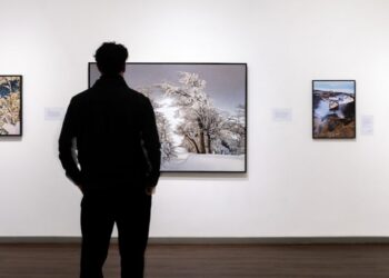 Últimos días para disfrutar de la exposición de pintura “Entrar a la cordillera” de Mauro Pesce – LAVOZDEPUCON.