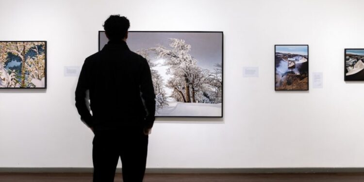 Últimos días para disfrutar de la exposición de pintura “Entrar a la cordillera” de Mauro Pesce – LAVOZDEPUCON.