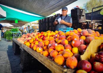 Feriantes de Parral obtienen proyecto de Sercotec para mejorar sus condiciones laborales.