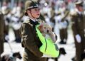 Pequeños protectores: los cachorros de Carabineros conmovieron al público en la Parada Militar.