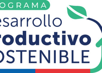 Corfo lanza 1.200 becas para especializarse en sostenibilidad