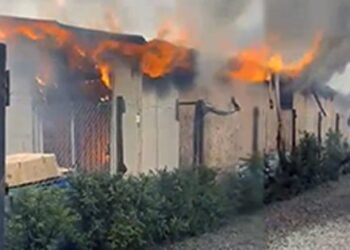 Incendio en la Reina Sur de Colina provocó un gran despliegue de Bomberos.