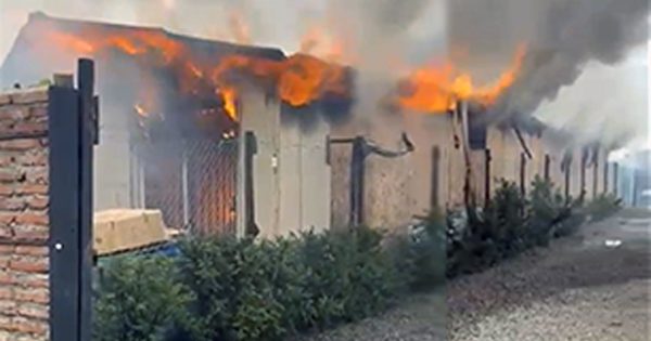 Incendio en la Reina Sur de Colina provocó un gran despliegue de Bomberos.