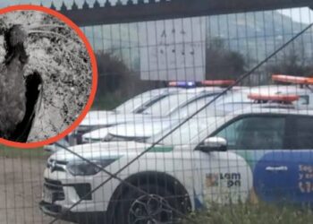 Efecto dieciochero: Humedal de Batuco tuvo que cerrar por la tremenda cantidad de basura y aves afectadas por hilo curado.