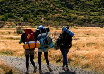 Chile destaca en los «Óscar del Turismo» al ganar cinco premios en los World Travel Awards 2025.