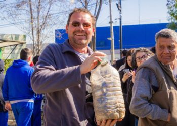 Peñalolén abre un módulo para reciclar pilas y botellas.