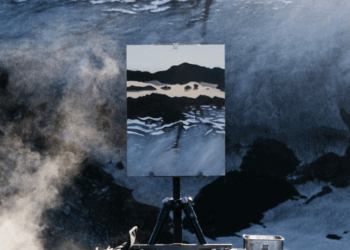 Inauguración de la muestra «Entrar a la cordillera» del artista Mauro Pesce – LAVOZDEPUCON.