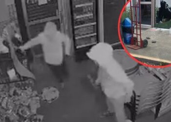 [VIDEO] Grupo de delincuentes realiza robo en minimarket de Chicauma, Lampa