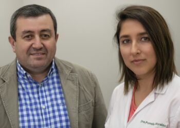 UNA SALUD: un enfoque integral y colaborativo para lograr la sostenibilidad global.