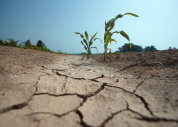 La falta de lluvias indica un invierno frío y anticipa una primavera seca y calurosa.