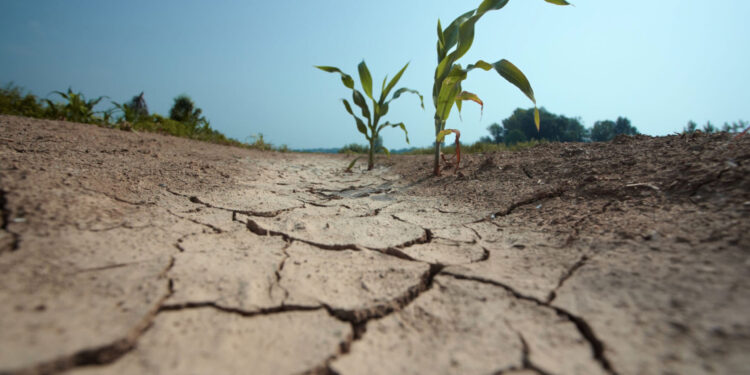 La falta de lluvias indica un invierno frío y anticipa una primavera seca y calurosa.