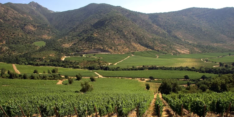 Emprendedores y líderes se congregan en Chile Day Maule.