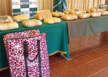 Operativo en el Biobío desmantela tráfico: incautan $300 millones en droga y arrestan a una mujer.