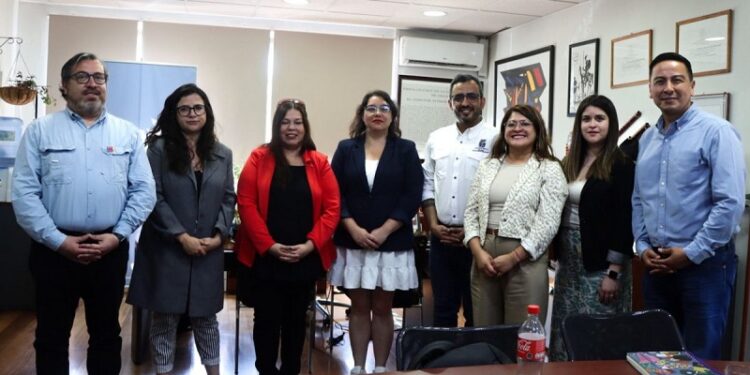 Municipalidad de San Bernardo y el Ministerio de la Mujer analizan plan piloto para combatir la violencia de género.