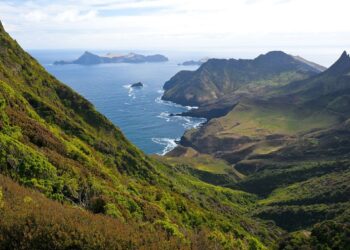 Tribunal Ambiental instruye a Conaf a emitir una nueva resolución tras el rechazo de excavaciones en el Parque Juan Fernández.