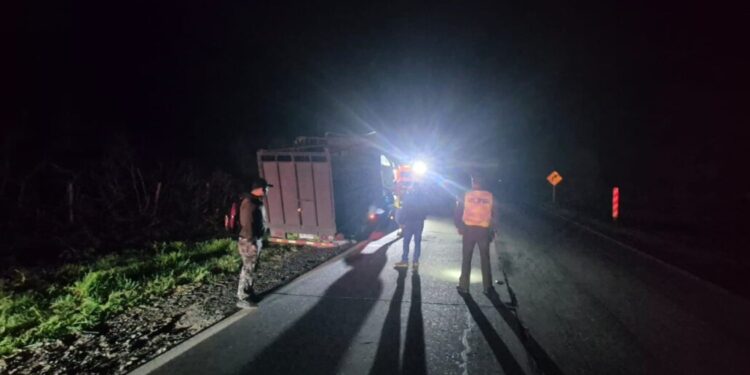 Accidente de camión bloquea por completo el tránsito en una ruta clave de Quilleco.