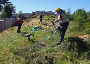 Desmalejan y retiran material inflamable en el sector Villa Cumbres de Viña del Mar, Chile.