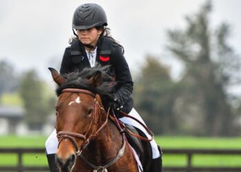 Negrete disfrutará del «Concurso de Primavera» con competiciones ecuestres, una feria y gastronomía para toda la familia.