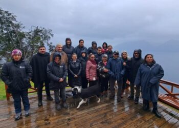 Consejeros regionales de Llanquihue inspeccionan en el lugar las soluciones fotovoltaicas financiadas por el Gobierno Regional en Lago Todos Los Santos.