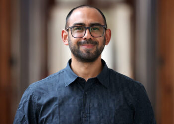 La lluvia saca el plomo de las ciudades gracias a las palomas.