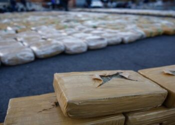 La Contraloría identificó serias irregularidades en la gestión y destrucción de drogas en los servicios de salud: se registraron discrepancias en el peso.