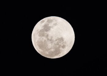 Más grande y resplandeciente: Observa las imágenes de la Superluna de octubre que capta todas las miradas.