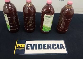 Detienen a dos brasileños en el aeropuerto de Santiago con botellas de ayahuasca.