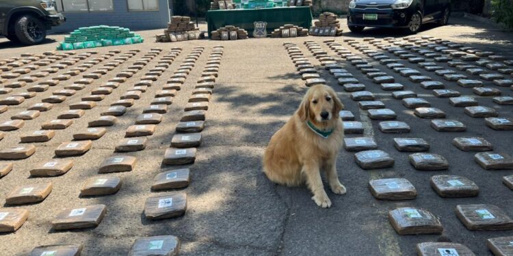 Seis arrestados y más de una tonelada de droga confiscada tras operativo en tres comunas de la región Metropolitana.