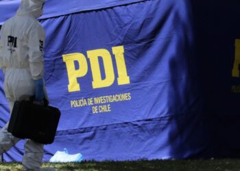 Hallan un cuerpo mutilado y con lesiones en el cuello en un terreno baldío de La Pintana.