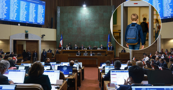 Cámara da luz verde al uso de detectores de metales en colegios y hospitales.