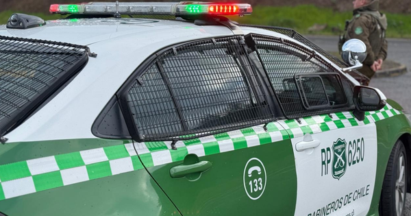 [CHICUREO] Delincuentes disfrazados de carabineros realizan violento turbazo en parcela.