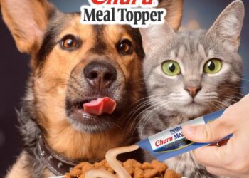 Churu Meal Topper ya está en Chile