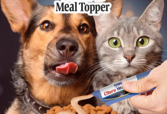 Churu Meal Topper ya está en Chile