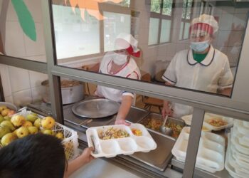 Junaeb Introduce Algas Chilenas en sus Menús Escolares.