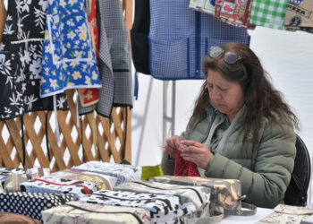 Emprendedores destacan en la IV Feria de Juntas de Vecinos del Sector Nororiente.