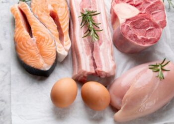 La proteína animal recibe apoyo: nueva evidencia desafía prejuicios sobre la dieta.