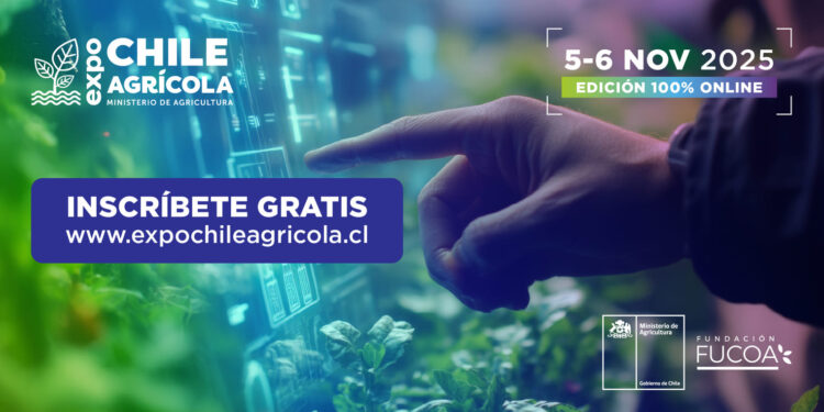 IA y productividad son la clave del futuro del agro en Chile.