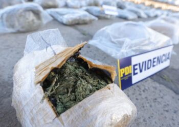 Desmantelan a banda que cambiaba coches robados por droga de Bolivia: se confiscan 800 kilos de marihuana.