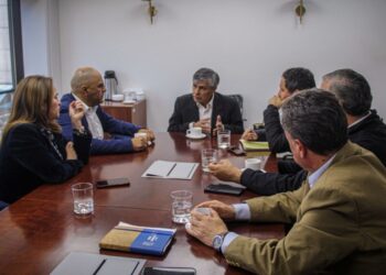 Alcaldes de localidades cordilleranas del Biobío solicitan urgentemente mejorar la conectividad digital.