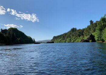 «La Comuna de los Siete Ríos»: una narrativa de agua, identidad y vida en Los Ángeles.
