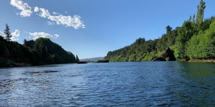 «La Comuna de los Siete Ríos»: una narrativa de agua, identidad y vida en Los Ángeles.