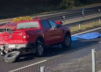 La tragedia en Villa Alemana por un atropello causado por un conductor ebrio: tres de las víctimas fatales eran familiares.