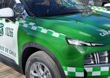 Denuncia por violencia culmina con incautación de droga en Quilleco: El agresor amenazó con matar a su familia.