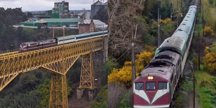 Regresa el «Tren del Recuerdo» con trayecto diurno y parada en una comuna del Biobío: Descubre las fechas y el precio de los pasajes.