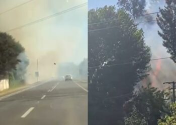 Incendio de pastizales y forestales impactó la zona norte de Los Ángeles.