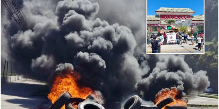 Pescadores de San Antonio en alerta: denuncian la extracción de jibia por embarcaciones chinas en aguas nacionales.