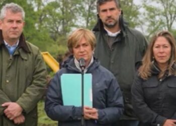 Matthei se compromete a recuperar La Araucanía en un año: “Tendremos las peleas que sean necesarias”