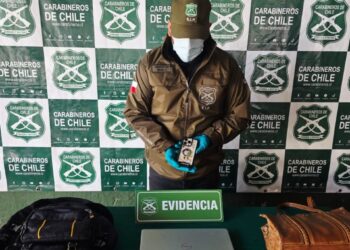 Carabinero de franco arrestó a un hombre que intentó robar en una oficina en Los Andes: el individuo cuenta con un extenso historial delictivo.