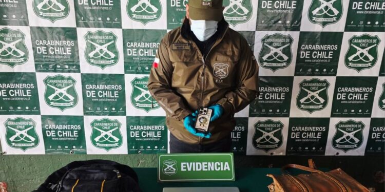 Carabinero de franco arrestó a un hombre que intentó robar en una oficina en Los Andes: el individuo cuenta con un extenso historial delictivo.