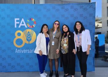 Frente Parlamentario contra el Hambre en Chile establece hoja de ruta con el apoyo de la agencia de la FAO de las Naciones Unidas.